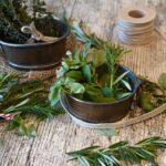 Immagine di un mini-orto in cucina con erbe aromatiche coltivate in vasi economici.