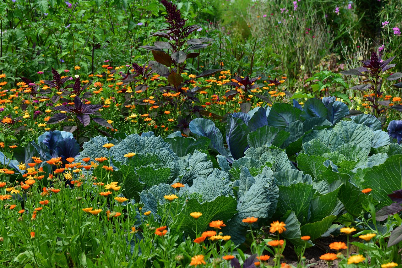 Orto fiorito con piante verdi e fiori colorati, senza pesticidi chimici, ispirato ai consigli delle nonne.