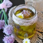 Infuso naturale per piante, preparazione semplice e economica per rinforzare la crescita vegetale.